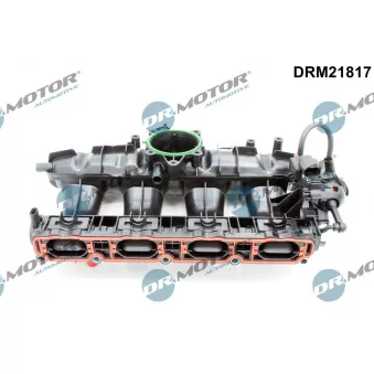 Module de tube d'admission Dr.Motor DRM21817