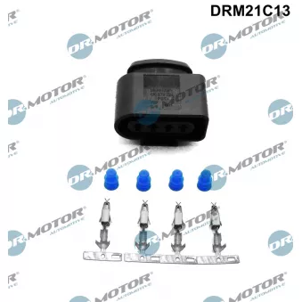 Fiche Dr.Motor DRM21C13