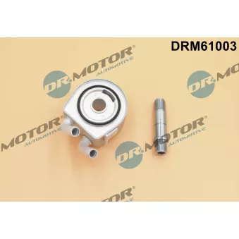 Radiateur d'huile Dr.Motor DRM61003