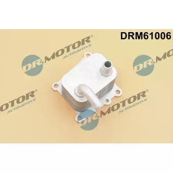 Dr.Motor DRM61006 - Radiateur d'huile
