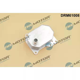 Radiateur d'huile Dr.Motor DRM61008 pour FORD TRANSIT 2.2 TDCi [RWD] - 125cv