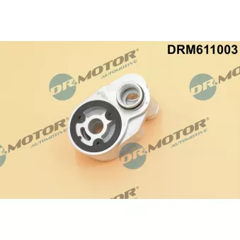 Dr.Motor DRM611003 - Radiateur d'huile