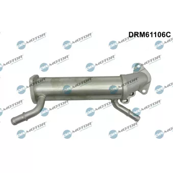 Radiateur, réaspiration des gaz d'échappement Dr.Motor DRM61106C
