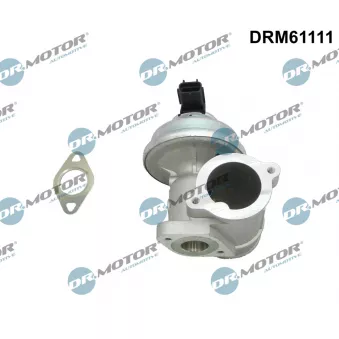 Dr.Motor DRM61111 - Vanne EGR