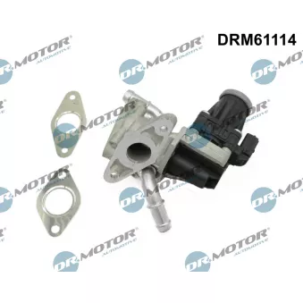 Dr.Motor DRM61114 - Vanne EGR