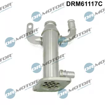 Dr.Motor DRM61117C - Radiateur, réaspiration des gaz d'échappement