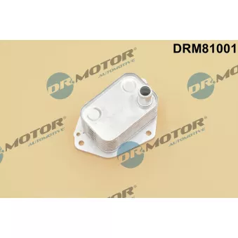Dr.Motor DRM81001 - Radiateur d'huile