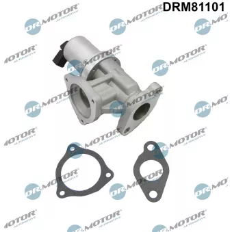 Dr.Motor DRM81101 - Vanne EGR