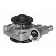 MAGNETI MARELLI 350981325000 - Pompe à eau