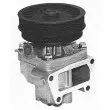 MAGNETI MARELLI 350981346000 - Pompe à eau