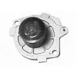 MAGNETI MARELLI 350981352000 - Pompe à eau