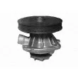 MAGNETI MARELLI 350981366000 - Pompe à eau