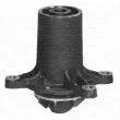 MAGNETI MARELLI 350981508000 - Pompe à eau
