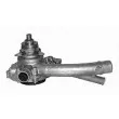 MAGNETI MARELLI 350981509000 - Pompe à eau