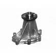MAGNETI MARELLI 350981726000 - Pompe à eau