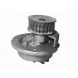 MAGNETI MARELLI 350981751000 - Pompe à eau