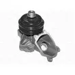 MAGNETI MARELLI 350981795000 - Pompe à eau