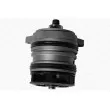 MAGNETI MARELLI 350982033000 - Pompe à eau