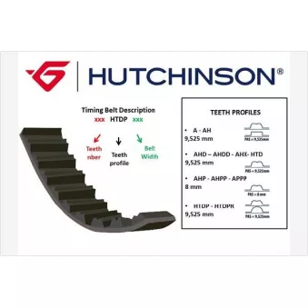 Courroie crantée HUTCHINSON 091HTDP20 pour FORD FOCUS 1.8 TDCi - 115cv