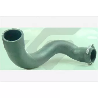 Gaine de suralimentation HUTCHINSON OEM 0382EJ