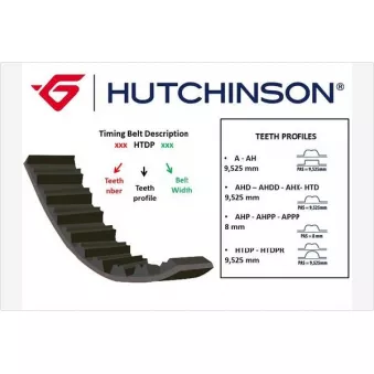 Courroie crantée HUTCHINSON OEM GTB1207