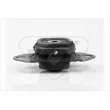 HUTCHINSON 538906 - Suspension, boîte de vitesse manuelle
