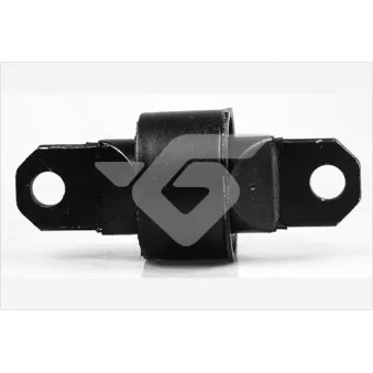 Silent bloc de suspension (train arrière) HUTCHINSON OEM C2Y62846X