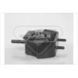 HUTCHINSON 594259 - Support, suspension du moteur