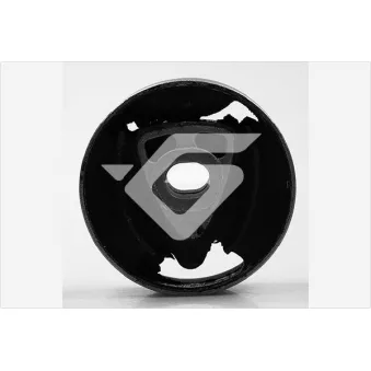 Suspension, corps de l'essieu HUTCHINSON 597002