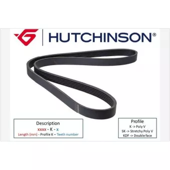 Courroie trapézoïdale à nervures HUTCHINSON OEM 1192077A10