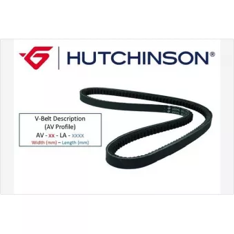 Courroie trapézoïdale HUTCHINSON AV10La1250TK pour RENAULT TRUCKS G G 230ti,16 - 226cv