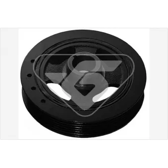 Poulie, vilebrequin HUTCHINSON OEM 1347022021