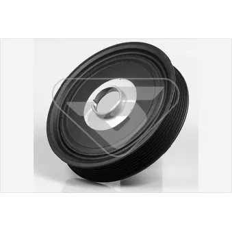 Poulie, vilebrequin HUTCHINSON OEM 8200267867