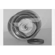 HUTCHINSON HEG298 - Poulie renvoi/transmission, courroie de distribution