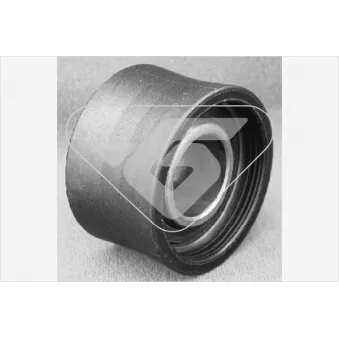 Poulie renvoi/transmission, courroie de distribution HUTCHINSON OEM 6744307