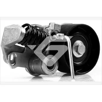 Poulie-tendeur, courroie crantée HUTCHINSON HTG426