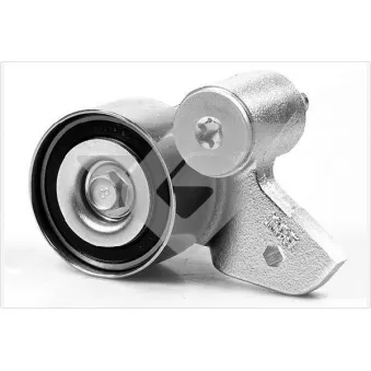 Poulie-tendeur, courroie crantée HUTCHINSON OEM 06C109485A