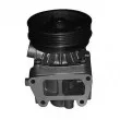 MAGNETI MARELLI 352316170353 - Pompe à eau