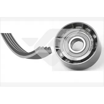 Jeu de courroies trapézoïdales à nervures HUTCHINSON KHV51