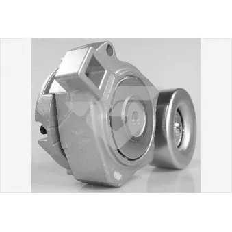 HUTCHINSON T0504 - Poulie-tendeur, courroie trapézoïdale à nervures