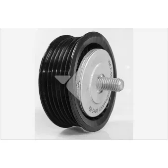 Poulie renvoi/transmission, courroie trapézoïdale à nervures HUTCHINSON OEM 11287509508