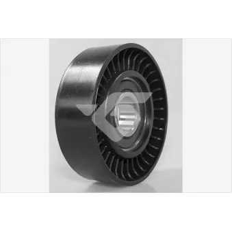 Poulie renvoi/transmission, courroie trapézoïdale à nervures HUTCHINSON OEM a1662020819