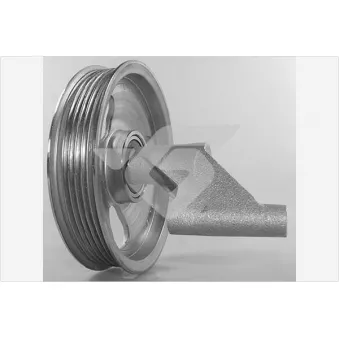 Poulie renvoi/transmission, courroie trapézoïdale à nervures HUTCHINSON T0658