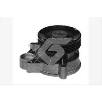 Pompe à eau HUTCHINSON OEM PA5414