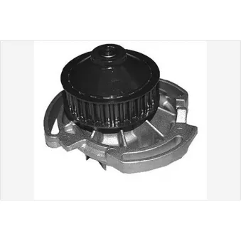 Pompe à eau HUTCHINSON WP146 pour VOLKSWAGEN POLO 1.0 - 45cv