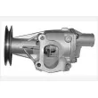 HUTCHINSON WP303 - Pompe à eau