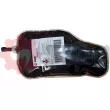 SEIM 100201 - Unité d'injection, régénération du filtre à particules
