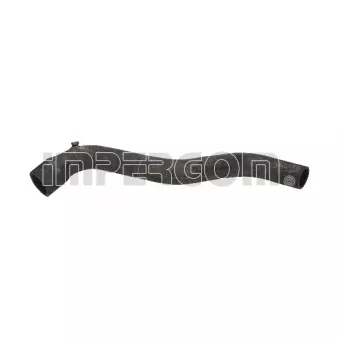 Durite de radiateur ORIGINAL IMPERIUM OEM 7704001275