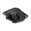 TEDGUM 00050762 - Support moteur