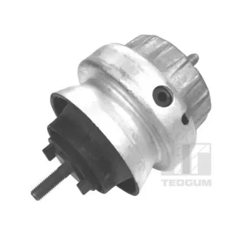TEDGUM 00056444 - Support moteur avant droit